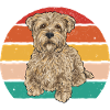 Cairn Terrier Dog