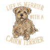 Cairn Terrier Dog