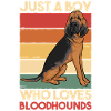Bloodhound Hund Bluthund