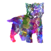 Cairn Terrier Dog