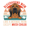 Bloodhound Dog Bloodhound