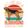 Bloodhound Dog Bloodhound