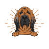 Bloodhound Chien Bloodhound