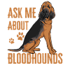 Bloodhound Hund Bluthund