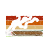 Cigar Cigars