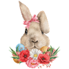 Osterhasenblumen Und -eier