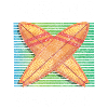 Surfing Surfergirl Windsurfer Beach