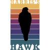 Harris Hawk Falconer Falconry Gift