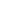 Key icon