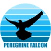 Peregrine Falconry Falconry Gift