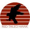 Red Tailed Falconry Falconry Gift
