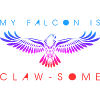 Red Tailed Falconry Falconry Gift