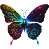 PRETTY BUTTERFLY