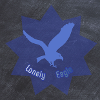 Lonely Eagle
