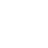 Key icon
