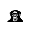 Botswana - Chimpanzee - Monkey