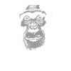 Tanzania - Chimpanzees