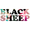 Black Sheep