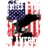 États-Unis États-Unis d’Amérique