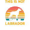 Dog Labrador drool