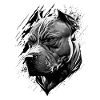 American Staffordshire Terrier