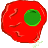 RED FRIED EGG