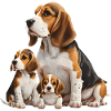 Famille Beagle