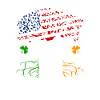 IRISH AMERICAN