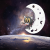 Cat in Space