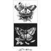 Butterfly pattern, painting style