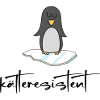 Eisbaden kälteresistenter Eisbader-Pinguin