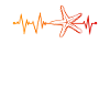 Starfish heartbeat