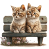 2 cats on bench gift