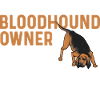 Bloodhound Dog Bloodhound