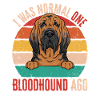 Bloodhound Dog Bloodhound