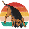 Bloodhound Dog Bloodhound