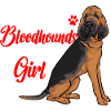 Bloodhound Dog Bloodhound