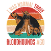 Bloodhound Dog Bloodhound