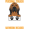 Bloodhound Dog Bloodhound