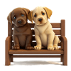 2 labradors en banque