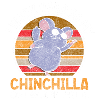 Chinchilla Animal Chill Cuddly