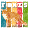 Forest Foxtail Red Fox