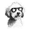 Chien cool