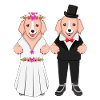Dog lovers marry puppy