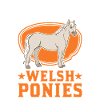 Cavalier de poney gallois