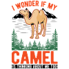 Kamel Geschenk Dromedar Camel Großkamel