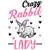 Lapins fous Lapin Frauch lapin