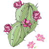 Cactus with flowers
