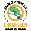 Caméléon Accueil Caméléon