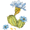 Cactus à fleurs